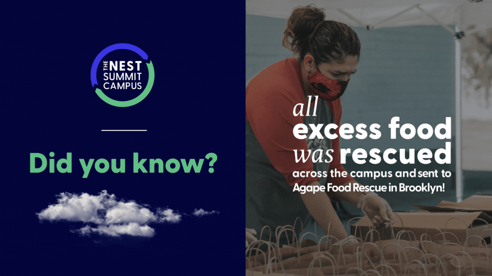 The Connection Between Food Waste and Sustainability